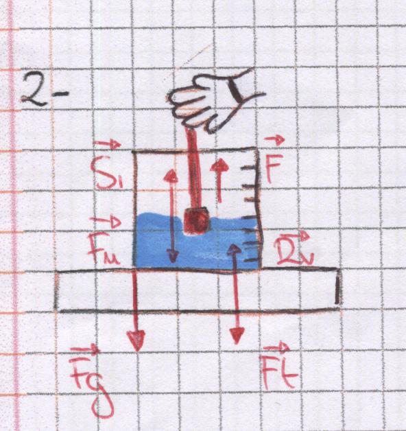azione_reazione_2.jpg